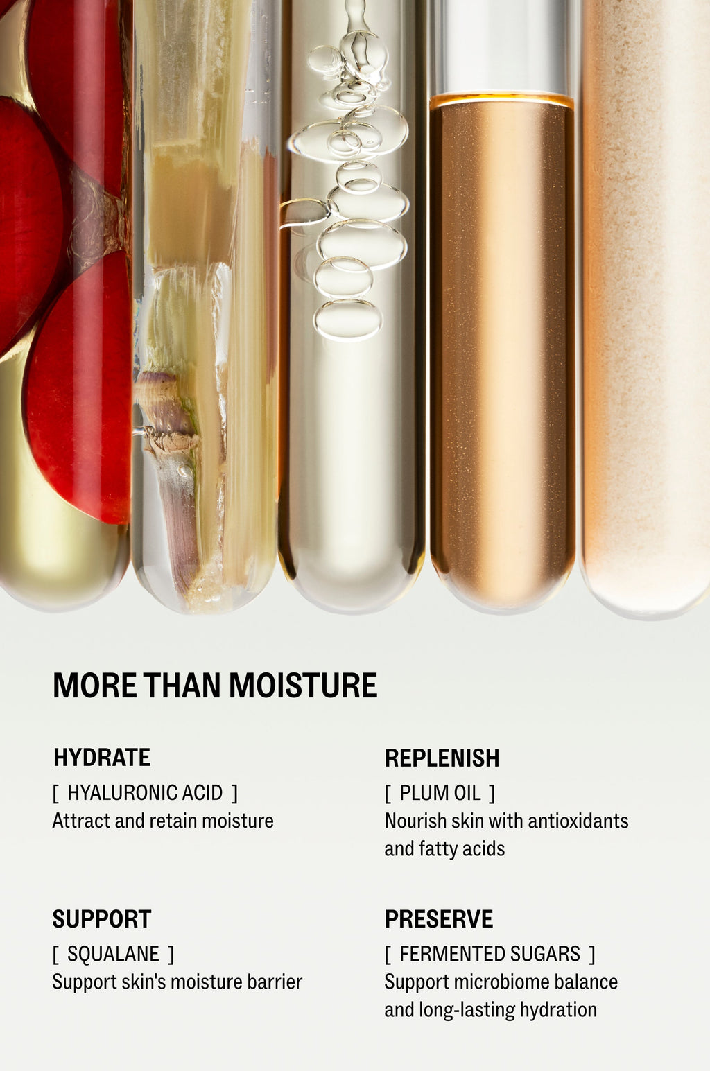 Hyaluronic Cushion Cream