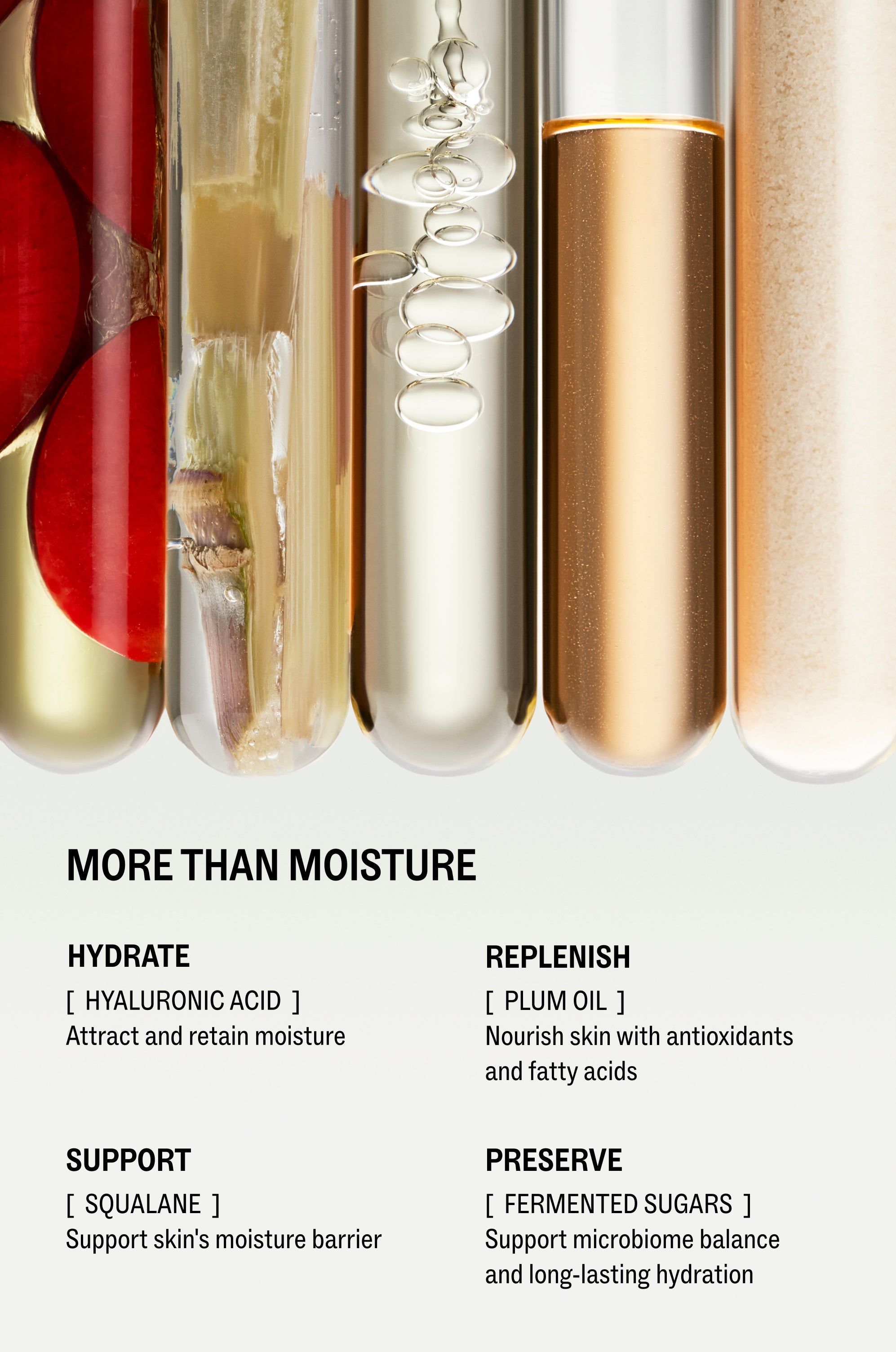 Hyaluronic Cushion Cream